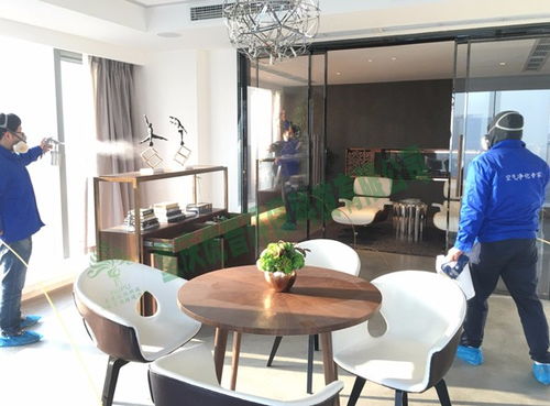 合川专业除甲醛服务 室内空气质量治理与净化器租赁全解析