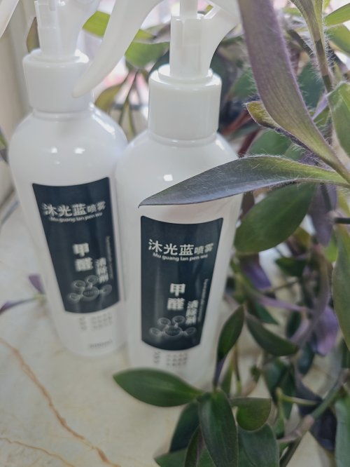 2025年新房装修除甲醛产品效果横评 排行榜